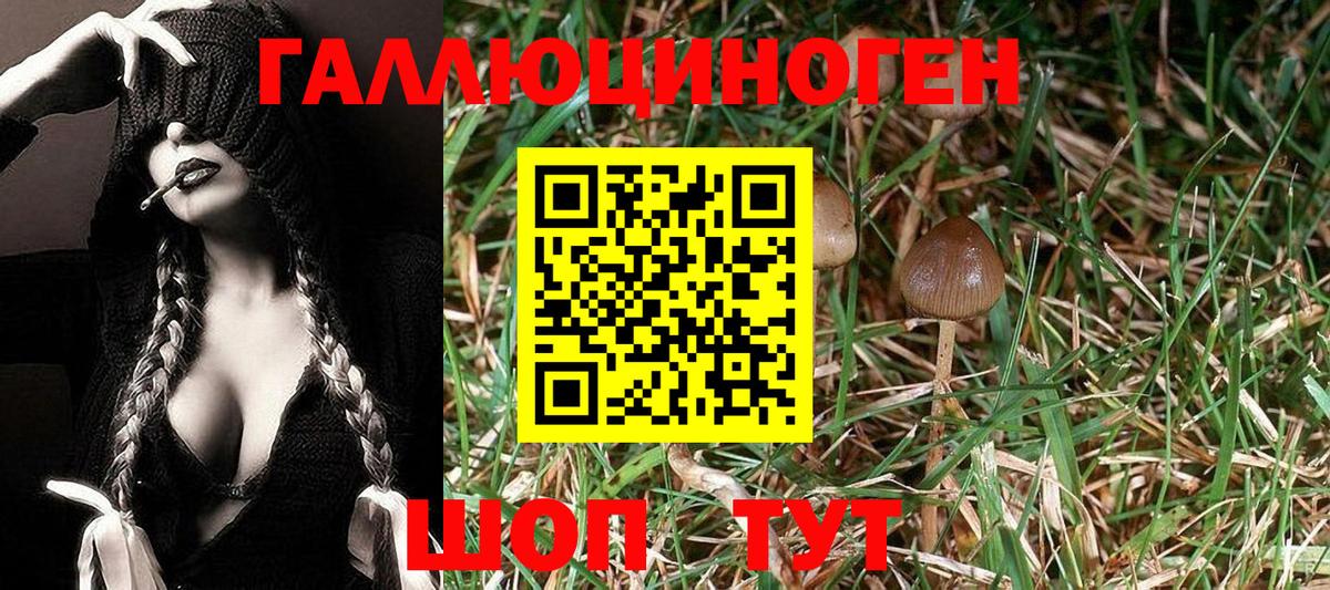 Кстово  купить наркотик  Вход с VPN  Галлюциногенные грибы Cubensis 